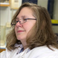 Ursula Gompels, PhD, CEO and Director, Founder